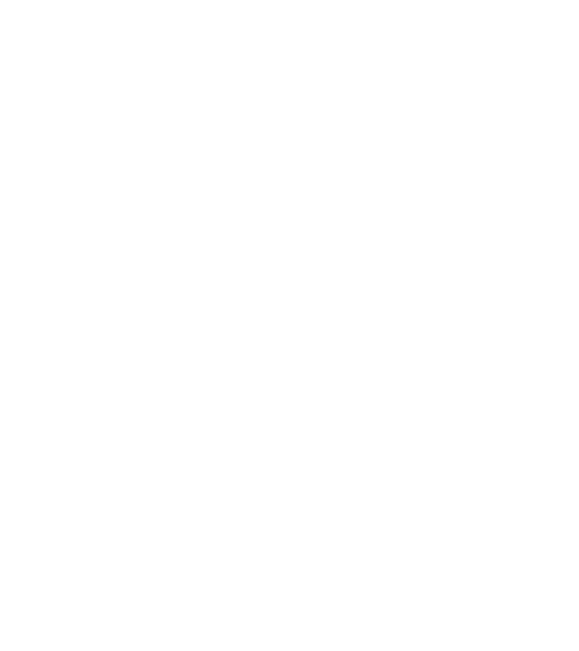 Mettle & Moxie